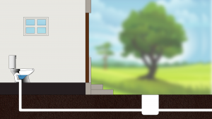 Toilet-Backflow-Illustration1080-2